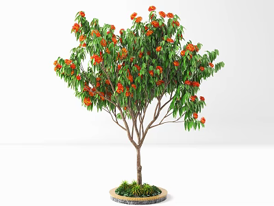 Lush Potted Arbor with Orange Flowers Green Leaves and Brown Trunk in Round Pot 3d model