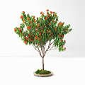 Lush Potted Arbor with Orange Flowers Green Leaves and Brown Trunk in Round Pot