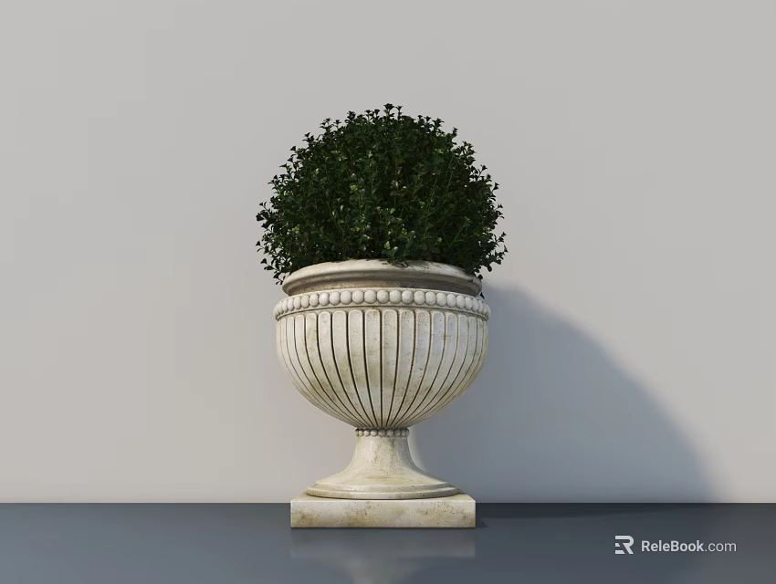 Potted Bonsai Plant with White Striped Planter and Round Green Foliage on Dark Countertop 3d model 