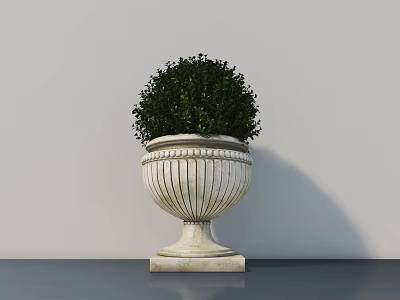 Potted Bonsai Plant with White Striped Planter and Round Green Foliage on Dark Countertop 3d model