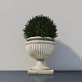 Potted Bonsai Plant with White Striped Planter and Round Green Foliage on Dark Countertop