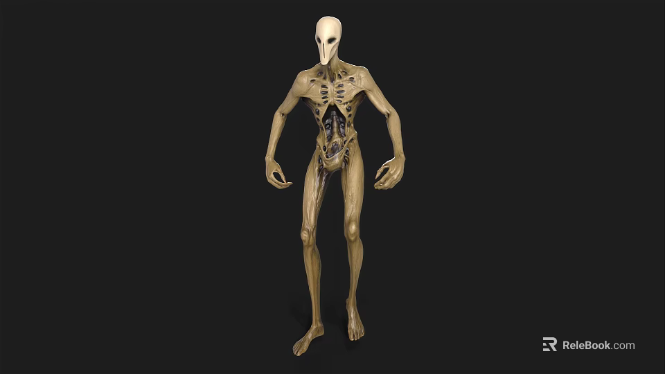 Game Movie Character 3D Model With Slender Body Transparent Skin Skeletal Structure And Visible Organs 3d model 