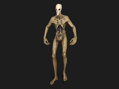 Game Movie Character 3D Model With Slender Body Transparent Skin Skeletal Structure And Visible Organs 3d model