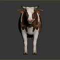 Brown And White Cow Standing On Gray Background With Realistic Features 3d model