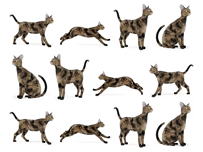 The Modern Cat 3d model The Modern Cat 3d model