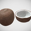 Fresh Whole and Halved Coconut with White Flesh Tropical Fruit Snack