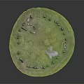 Cartoon Scene of Circular Green Area with Small Puddle and Scattered Stones Around