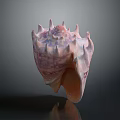 Pink Purple Spiky Conch Shell With Shiny Texture Isolated On Dark Background 3d model