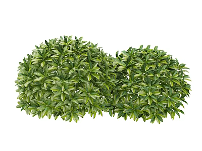 Lush Green Shrubs With Vibrant Leaves And Well Trimmed Foliage For Outdoor Garden Decoration 3d model