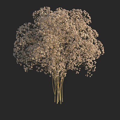 White Baby's Breath Flowers In Glass Vase With Delicate Petals And Green Stems 3d model