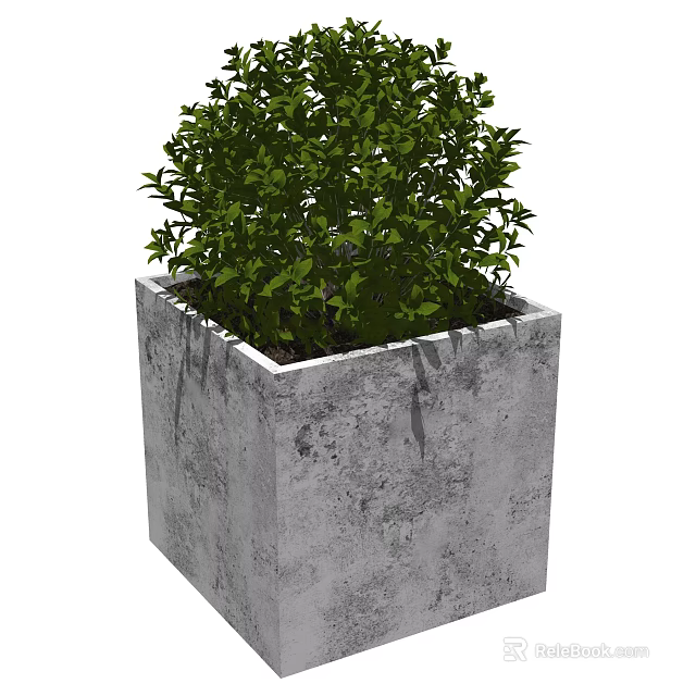 Leafy Green Bonsai Plant in Square Concrete Planter for Home Decor 3d model 
