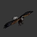 Low Poly Eagle Standing With Spread Wings And Brown White Feathers