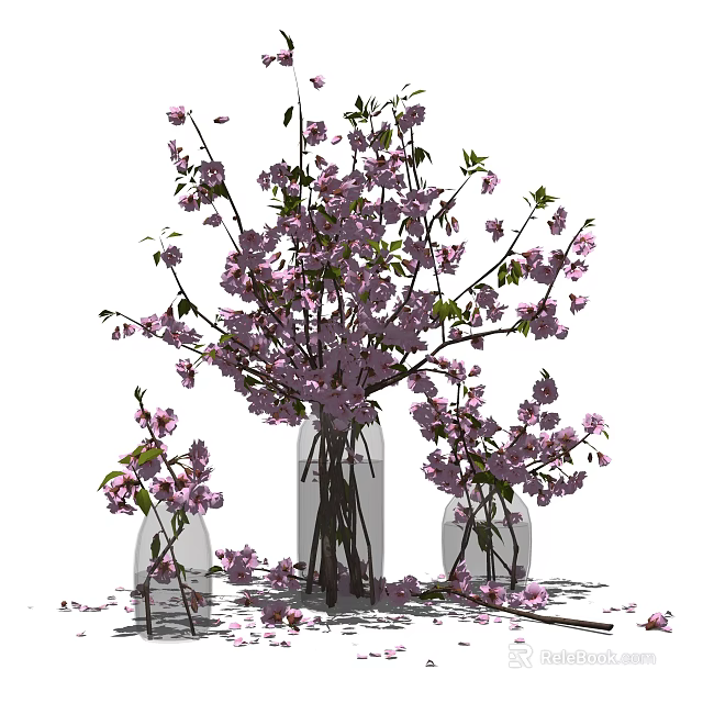 Three Transparent Glass Vases With Pink Cherry Blossom Flowers And Scattered Petals 3d model 