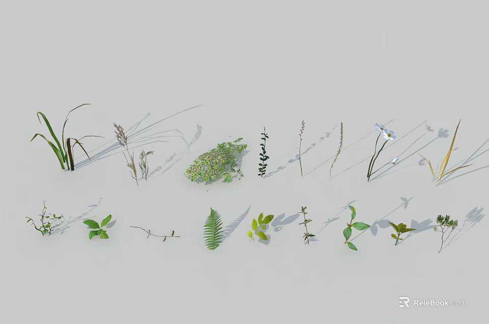 Various Flowers and Plants with Green Leaves and Natural Foliage on White Background 3d model 