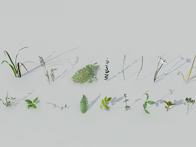 Various Flowers and Plants with Green Leaves and Natural Foliage on White Background 3d model