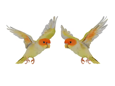 Two Flying Birds With Yellow Bodies Orange Heads And Spread Wings 3d model