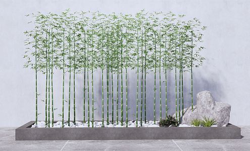 Modern bamboo indoor green bamboo combination 3d model