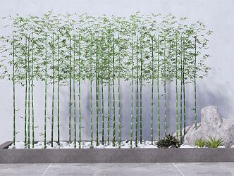 Modern bamboo indoor green bamboo combination 3d model