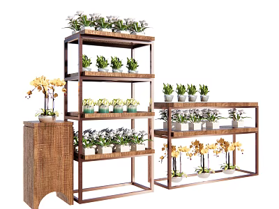 Multi Tiered Wooden Plant Shelves Displaying Succulents And Orchids For Garden Decor 3d model