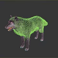 Gray wolf standing in dark gradient background with detailed fur texture and alert posture 3d model