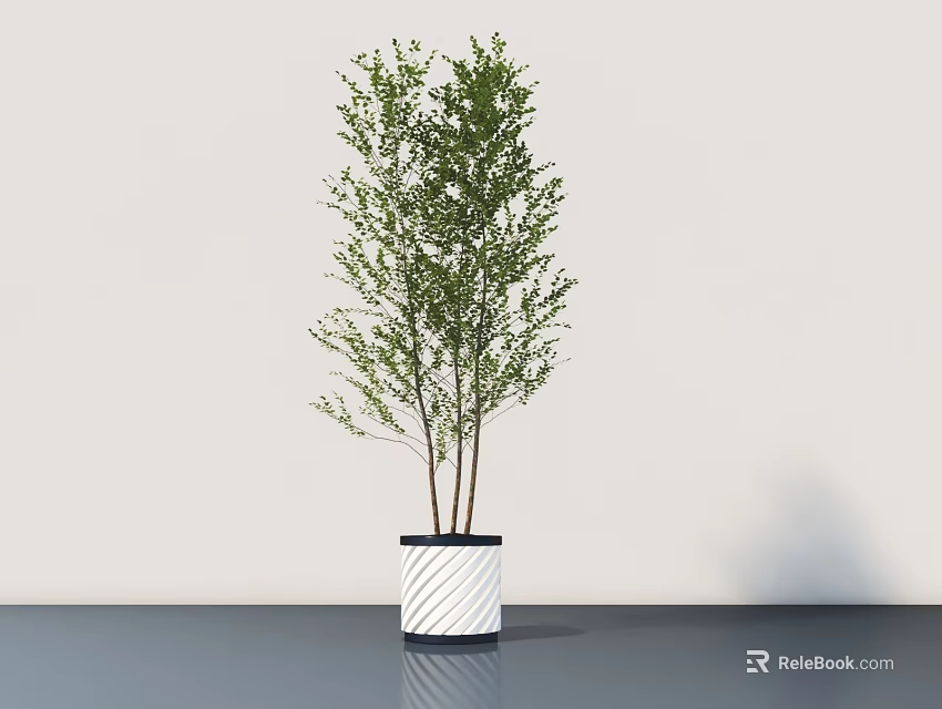 Bonsai Potted Plant With Lush Green Foliage In White Striped Pot 3d model 