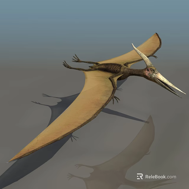 Pterosaur Flying Prehistoric Reptile With Large Membranous Wings And Long Sharp Beak 3d model 