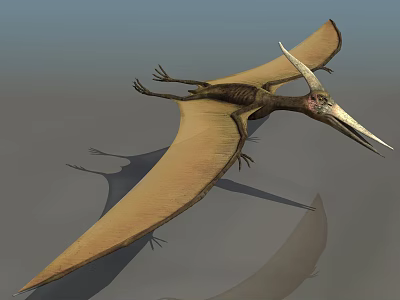 Modern Pterosaur 3d model