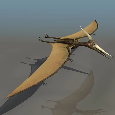 Pterosaur Flying Prehistoric Reptile With Large Membranous Wings And Long Sharp Beak 3d model