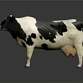 Black and white spotted cow standing on gray background with reflection 3d model