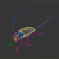 Detailed Close Up Of Long Horned Beetle With Black White Spots And Metallic Shine