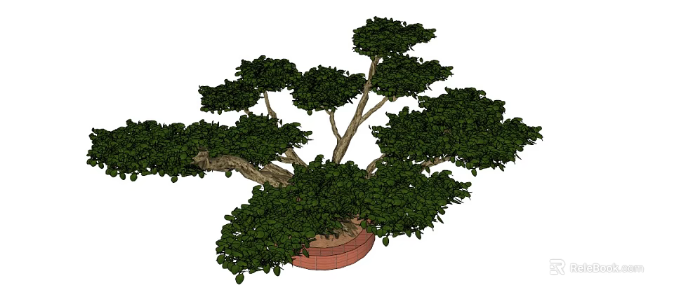 Indoor Decorative Bonsai Plant With Lush Green Foliage And Red Pot 3d model 