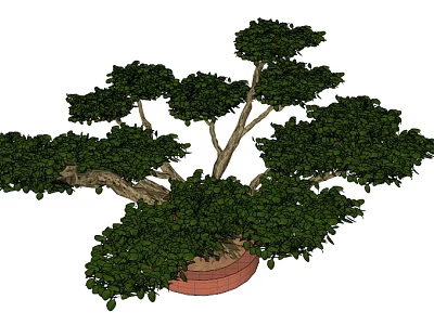 Indoor Decorative Bonsai Plant With Lush Green Foliage And Red Pot 3d model