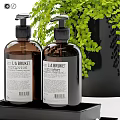 Premium Daily Cleansing Products Two Bottles in Black Tray with Green Fern Plant