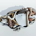 Modern Shell 3d model