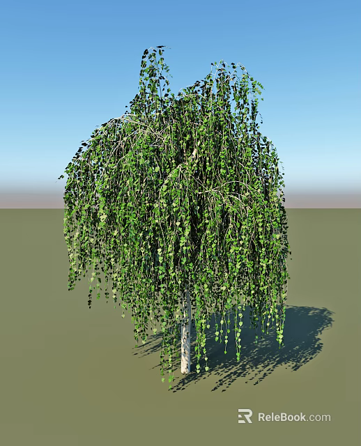 Weeping Willow Tree With Drooping Branches And Green Leaves Against Blue Sky 3d model 