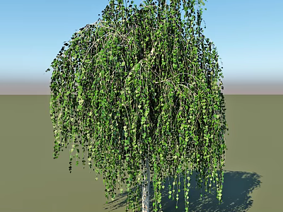 Weeping Willow Tree With Drooping Branches And Green Leaves Against Blue Sky 3d model