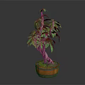 Potted Indoor Plant With Green Leaves And Forked Trunk In Wooden Barrel Planter