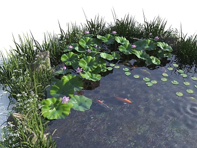 Modern Ecological Fish Pond Water Pool Lotus Pond Ornamental Koi Pond Water Pool Lotus Water Grass model