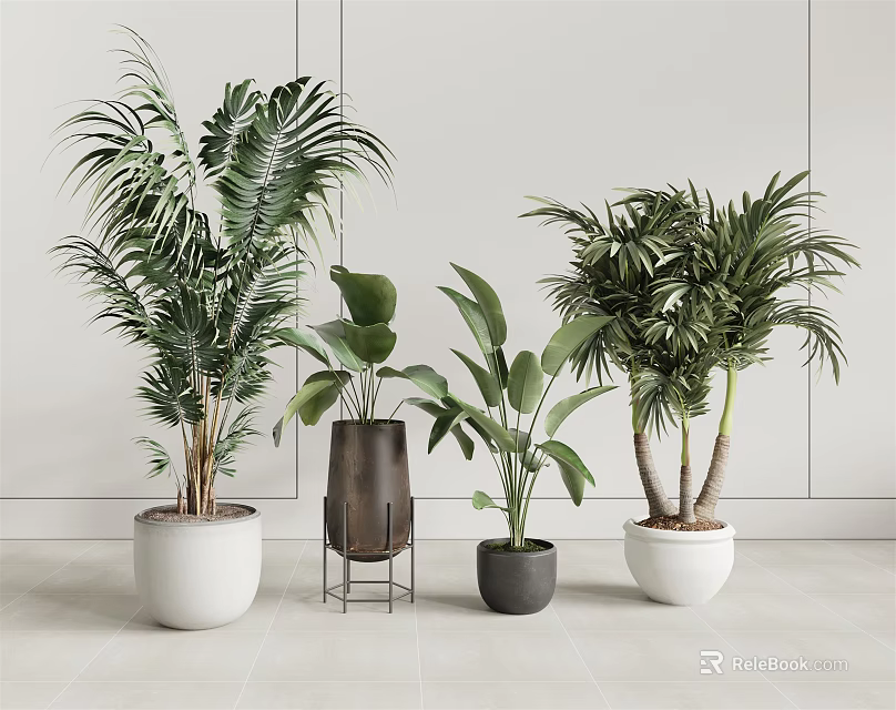 Indoor Potted Plants Palm Green In White Dark Planters Metal Stand White Wall Light Floor 3d model 