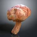 Detailed Mushroom Plant With Textured Brown Red Cap And Long Stem
