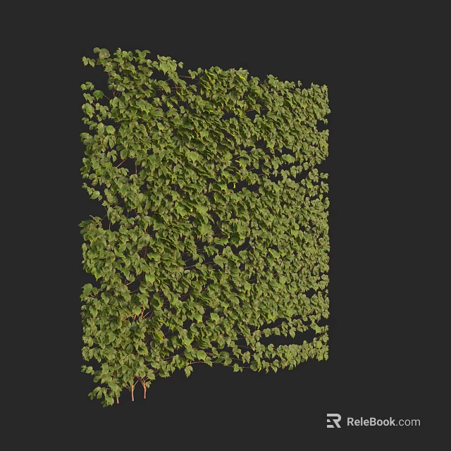 Lush Green Vine With Dense Leaves For Wall Decoration And Natural Landscape 3d model 