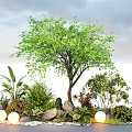 Natural Plant Combination With Large Tree Various Plants Stones And Glowing Spherical Lights