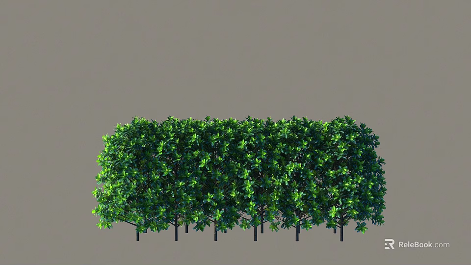 Lush Green Shrubs Forming Dense Trimmed Hedge For Outdoor Garden Landscape 3d model 