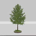 Lush Green Arbor With Dense Foliage And Potted Base For Indoor Decoration