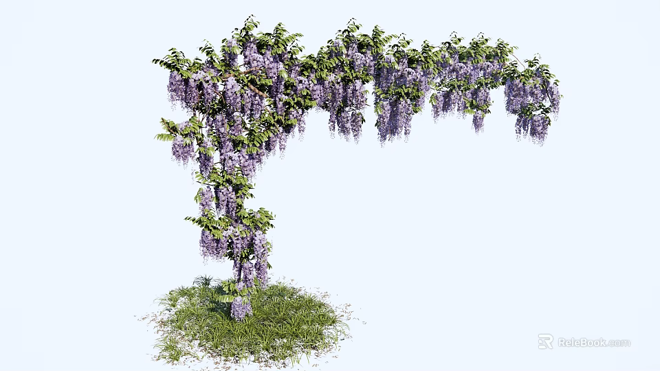 Lush Wisteria Vine With Hanging Purple Flowers Forming Arch Over Green Grass 3d model 
