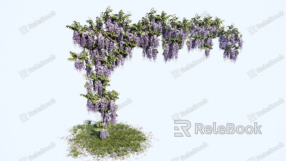 Modern Vine Wisteria Carrica Paliurus Flowering Plant Climbing Vine Plant Wisteria Flower model