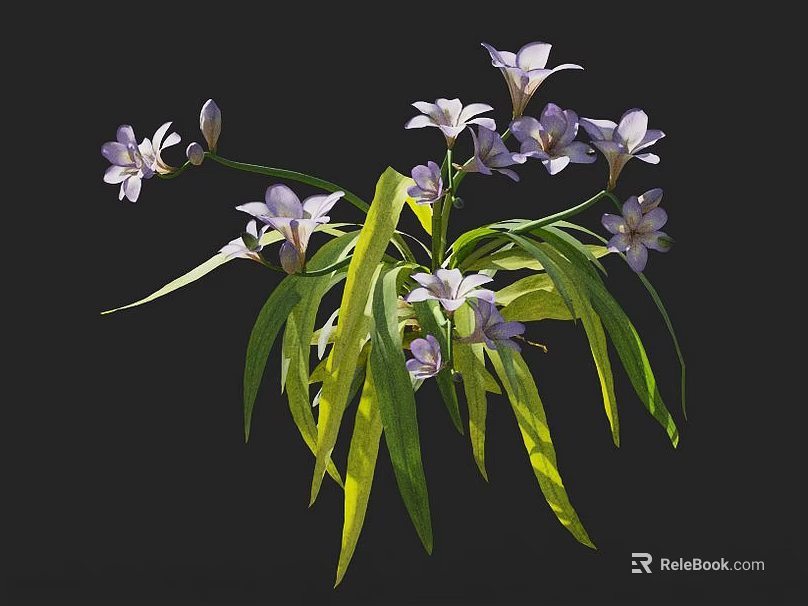 Vibrant Purple and White Flowers with Long Green Leaves in Natural Plant 3d model 