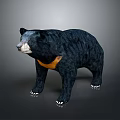 Realistic 3D Black Bear Model With Orange Neck And Standing Posture