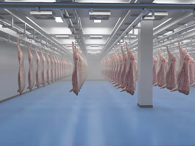 Industrial Meat Processing Plant With Rows Of Hanging Meat Carcasses Ceiling Lights And Blue Floor 3d model