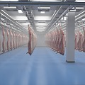 Cold Storage Warehouse 3d model